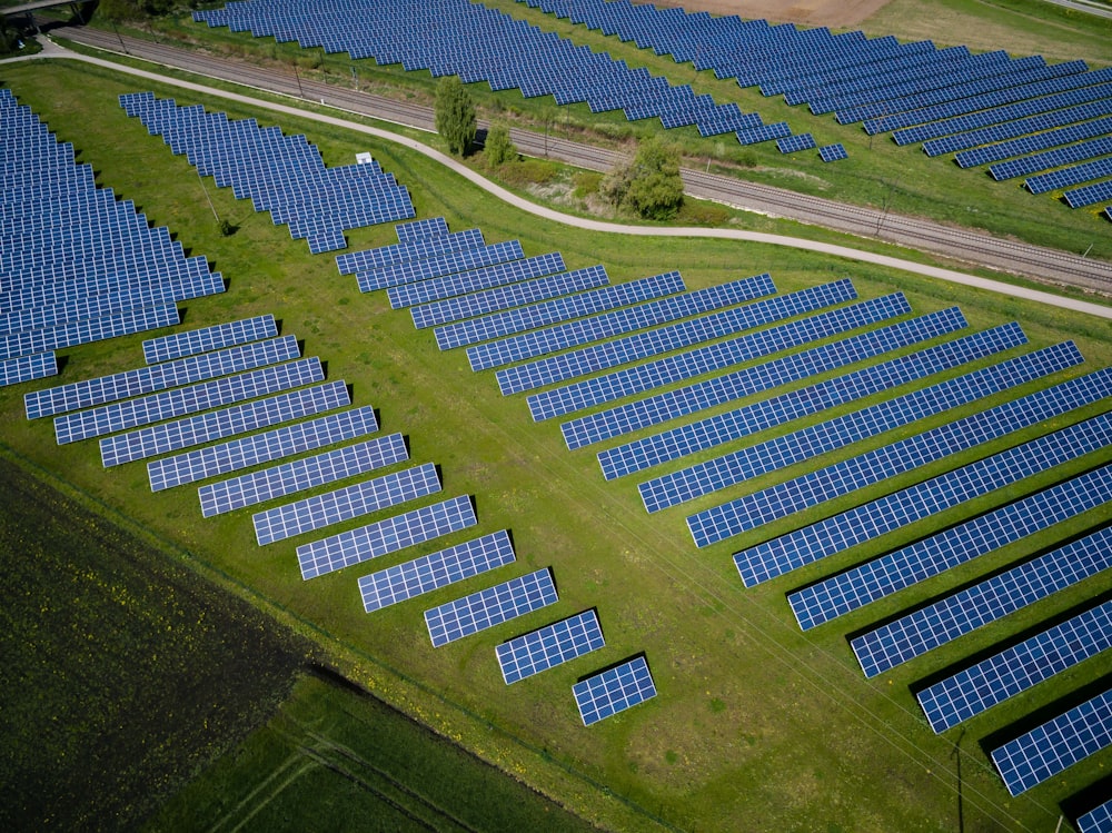 Sustainable Future